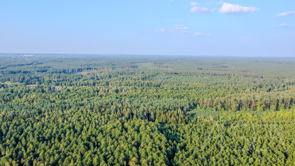 Działka budowlana na sprzedaż Tumanek  1 003m2 Foto 7