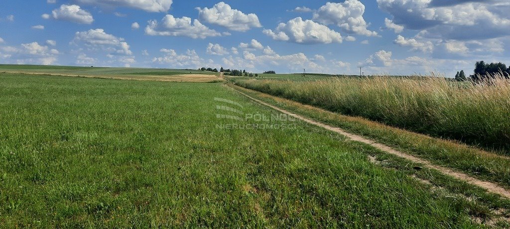 Działka rolna na sprzedaż Dobrzyniewo Kościelne  7 985m2 Foto 2