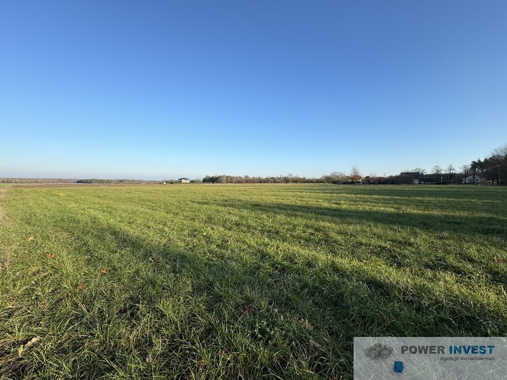 Działka budowlana na sprzedaż Powązki  19 500m2 Foto 2