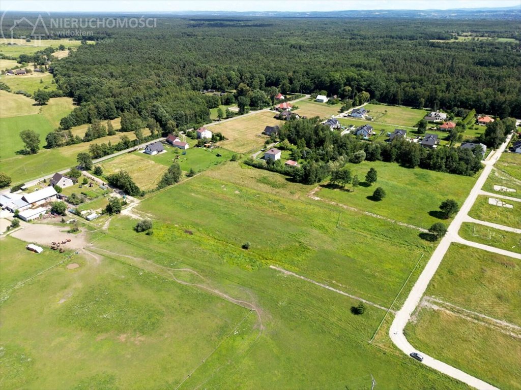 Działka komercyjna na sprzedaż Niepołomice  2 667m2 Foto 12