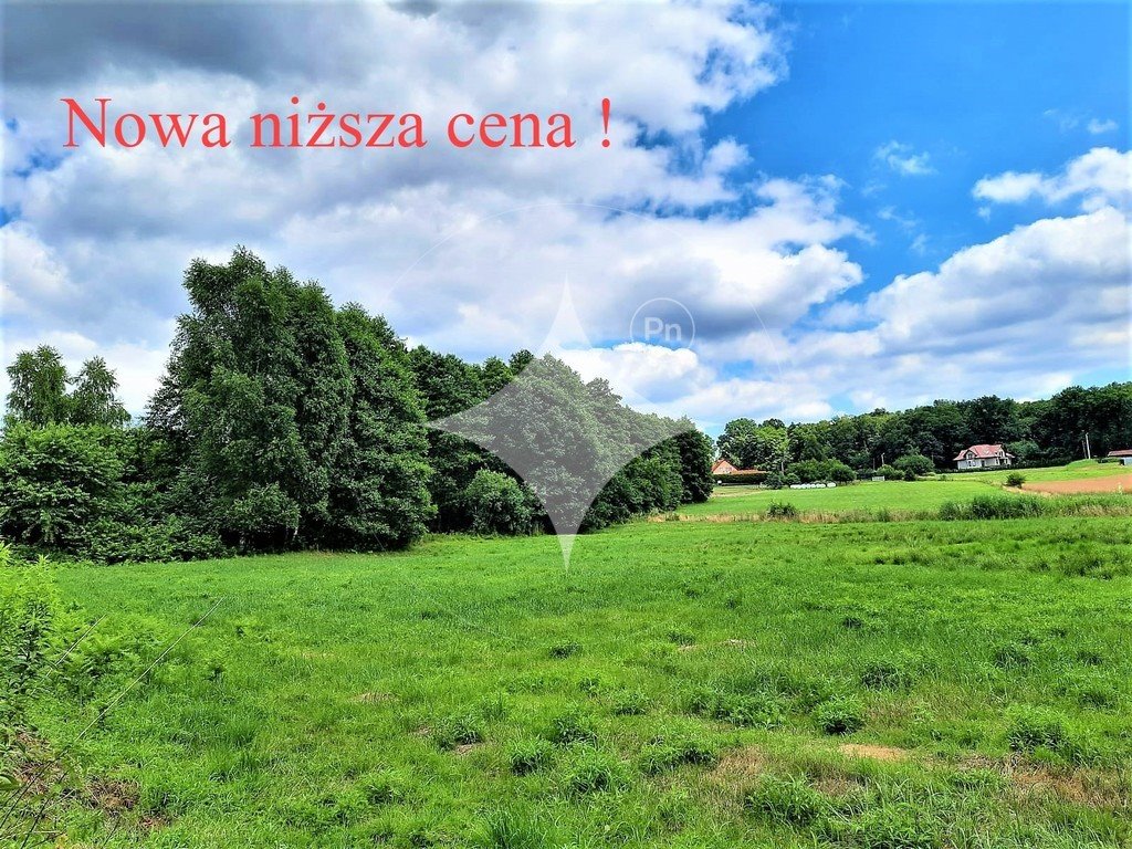 Działka rolna 5045 m² z dobrym dojazdem i spokojem Skrzyszów  5 045m2 Foto 1