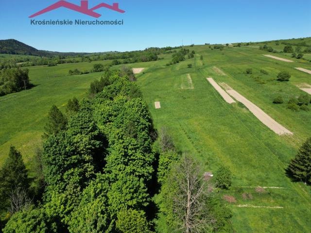 Na sprzedaż działka 3,5 ha z widokami i potencjałem rekreacyjnym Daliowa  35 000m2 Foto 1