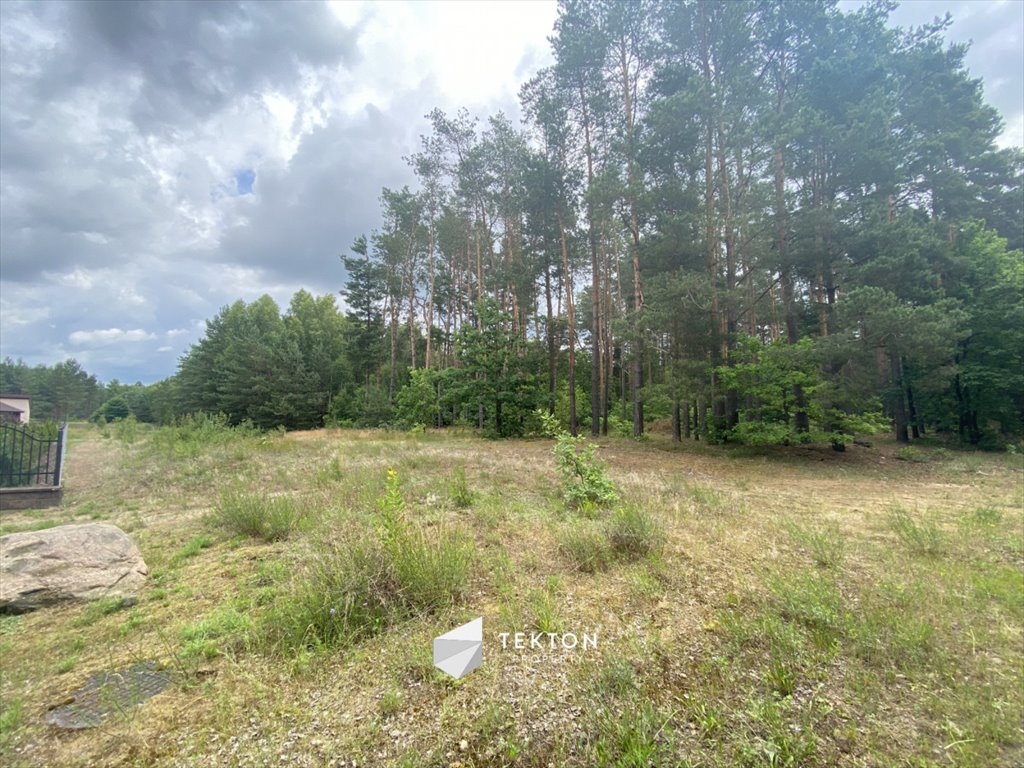 Działka leśna na sprzedaż Gajówka Zachodnia  30 000m2 Foto 3