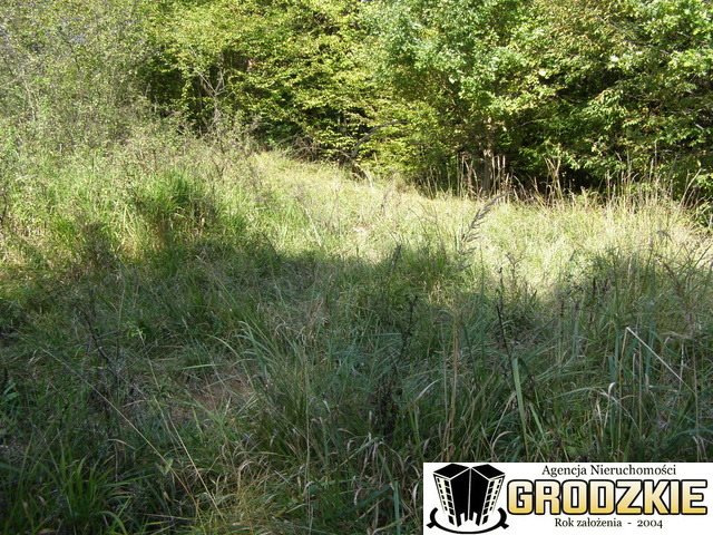 Działka rolna 16 700 m² z lasem i możliwością wypoczynku Brylińce  16 700m2 Foto 1