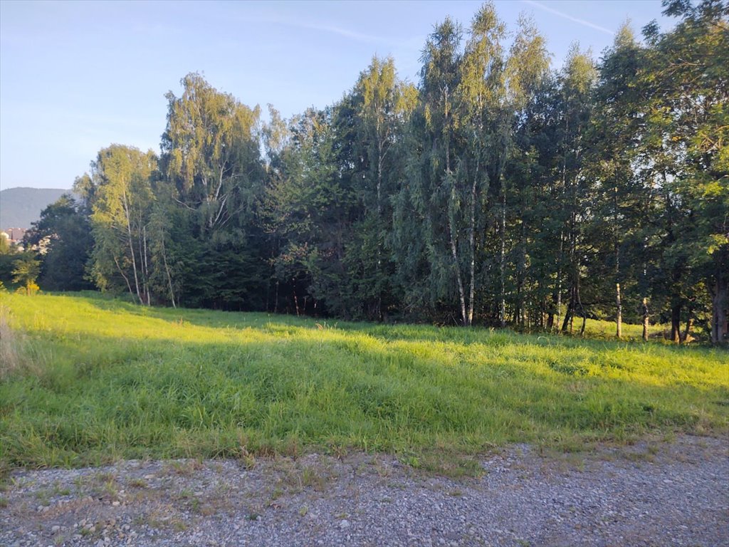 Działka budowlana na sprzedaż Bielsko-Biała, Lipnik  2 639m2 Foto 11