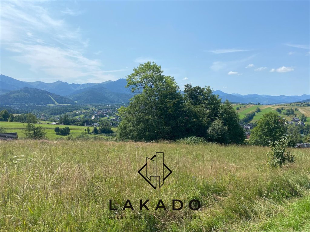 Działka rolna na sprzedaż Zakopane, Olcza, Walkosze  244m2 Foto 1