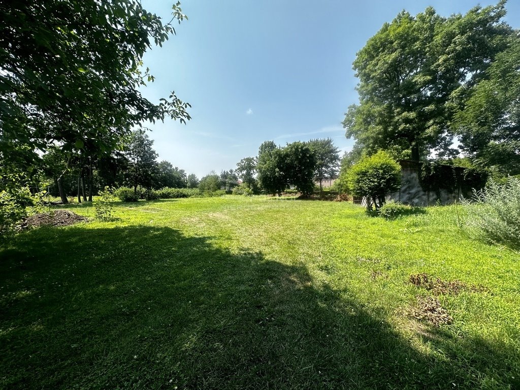 Działka budowlana na sprzedaż Chełm, Brzozowa  10 000m2 Foto 6