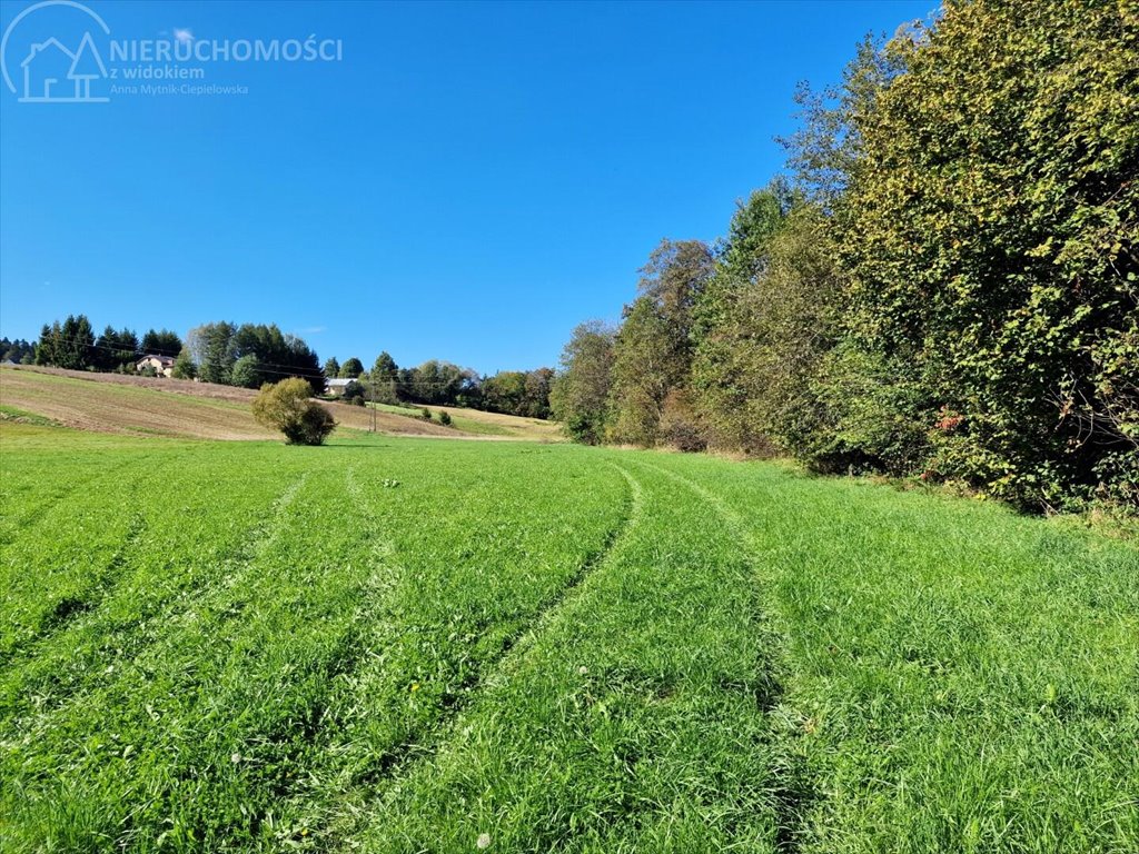 Działka rolna na sprzedaż Strzeszyn  3 900m2 Foto 5