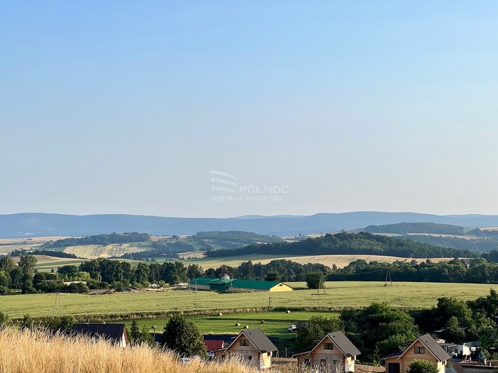 Działka budowlana na sprzedaż Bożków  10 600m2 Foto 5