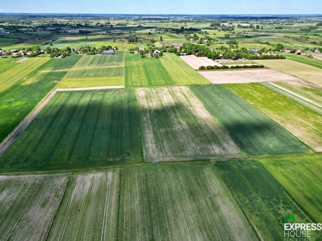 Działka rolna na sprzedaż Świerszczów  21 900m2 Foto 3