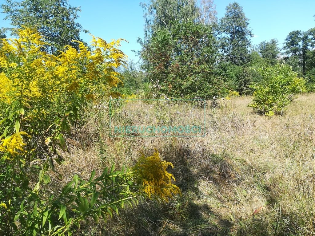 Działka zalesiona 19 900 m² pod domy jednorodzinne Milanówek  19 900m2 Foto 1