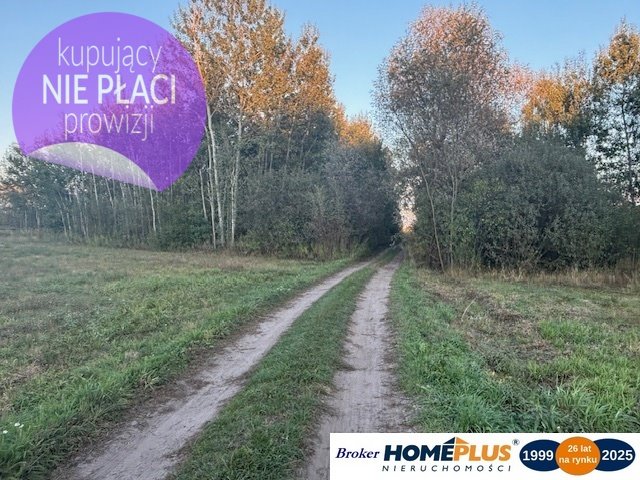 Działka rolna na sprzedaż Stary Kraszew  20 000m2 Foto 1