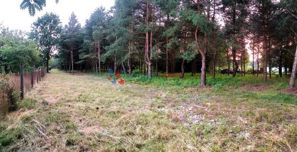 Działka budowlana na sprzedaż Mieszkowo  3 000m2 Foto 3