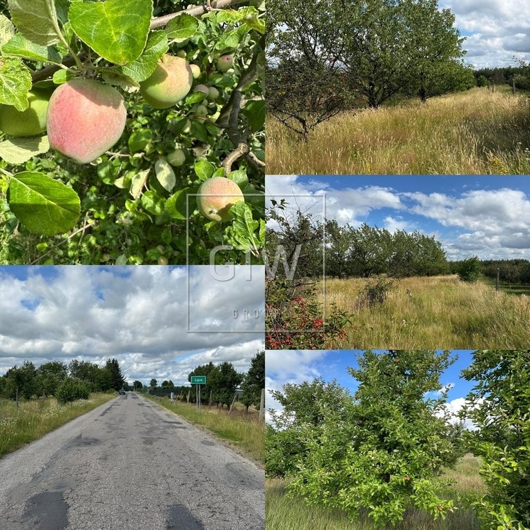 Do sprzedania działka 3027 m² z warunkami zabudowy w Lipie Lipie  3 027m2 Foto 1