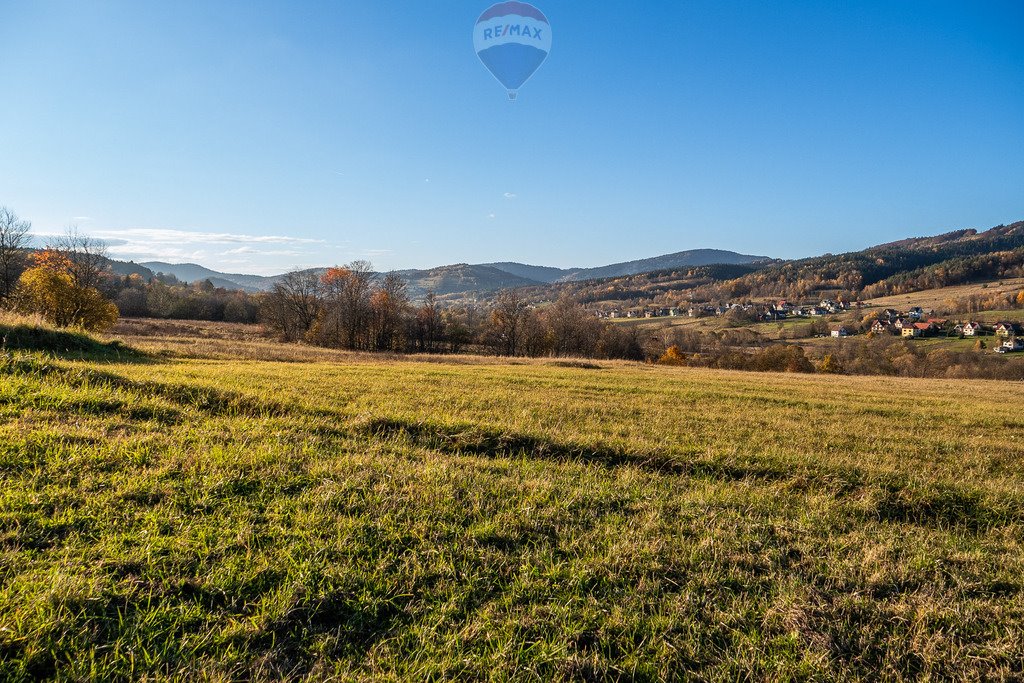 Działka budowlana na sprzedaż Kasina Wielka  5 133m2 Foto 7