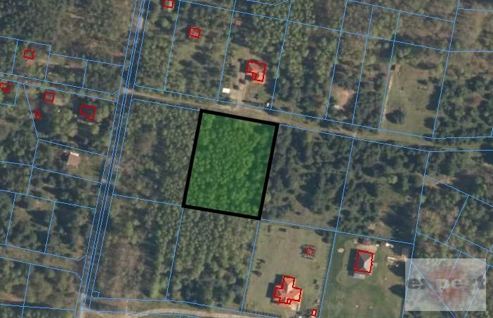 Działka 4209 m² pod zabudowę, las, media, Wodzierady Wodzierady  4 209m2 Foto 1