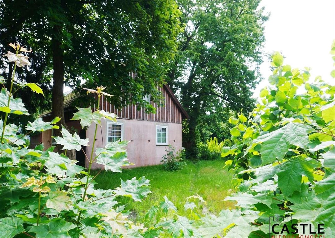 Działka budowlana na sprzedaż Stegna  2 398m2 Foto 1