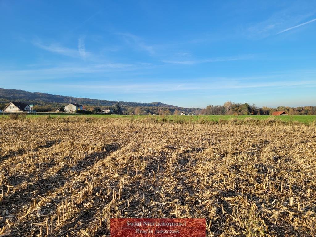 Działka rolna na sprzedaż Będkowice  11 300m2 Foto 6