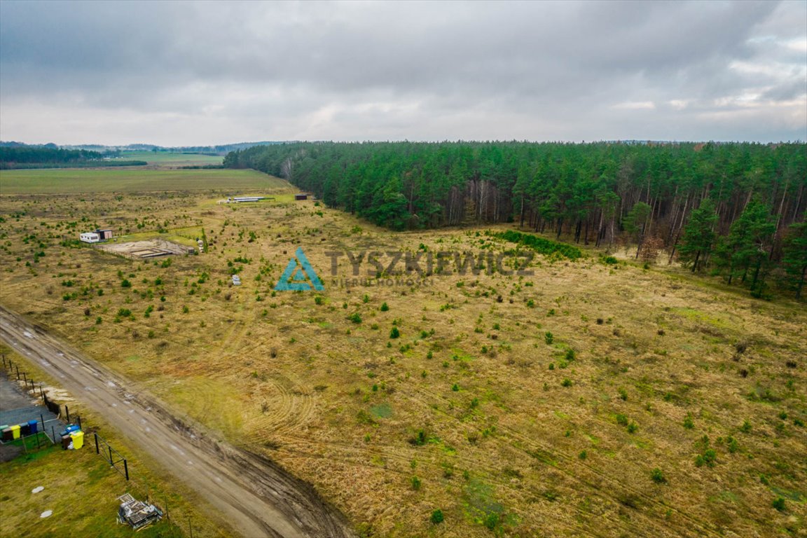 Działka budowlana na sprzedaż Żuromino  1 173m2 Foto 6