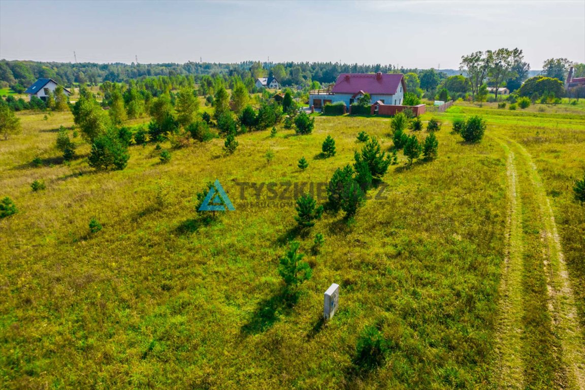 Działka budowlana na sprzedaż Borcz  3 286m2 Foto 7