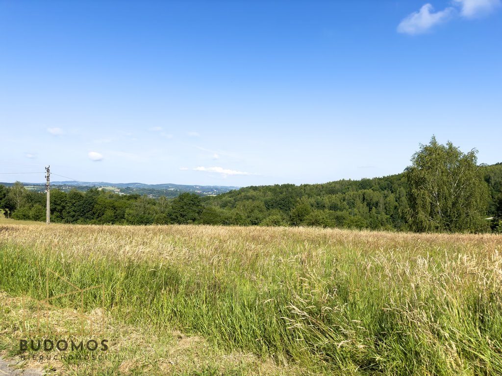 Działka inna na sprzedaż Tuchów  4 073m2 Foto 3