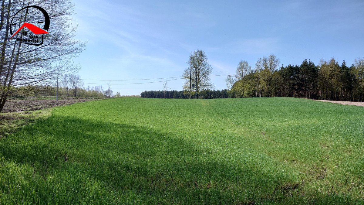 Działka gospodarstwo rolne na sprzedaż Kozjaty  8 000m2 Foto 3