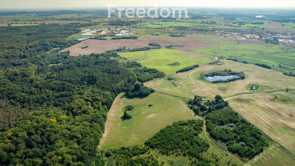 Działka inna na sprzedaż Kamierowo  166 600m2 Foto 3