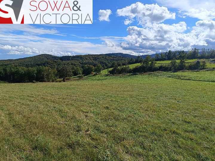 Działka inna na sprzedaż Michałkowa  3 000m2 Foto 5