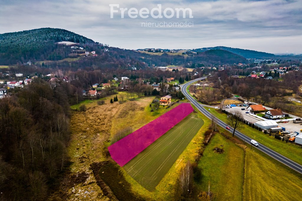 Działka komercyjna na sprzedaż Gorzeń Górny  3 867m2 Foto 7