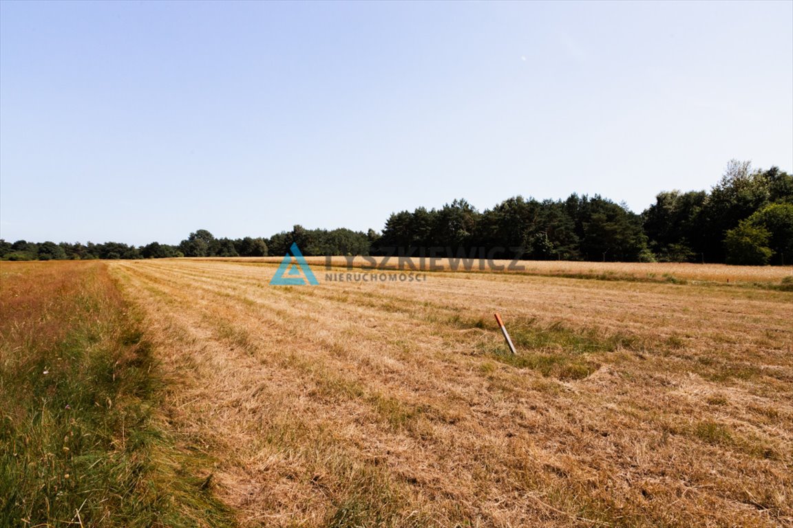 Działka rekreacyjna na sprzedaż Tupadły, Szkolna  2 000m2 Foto 11