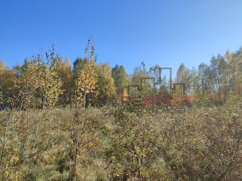 Działka budowlana na sprzedaż Adamów-Parcel  20 800m2 Foto 6