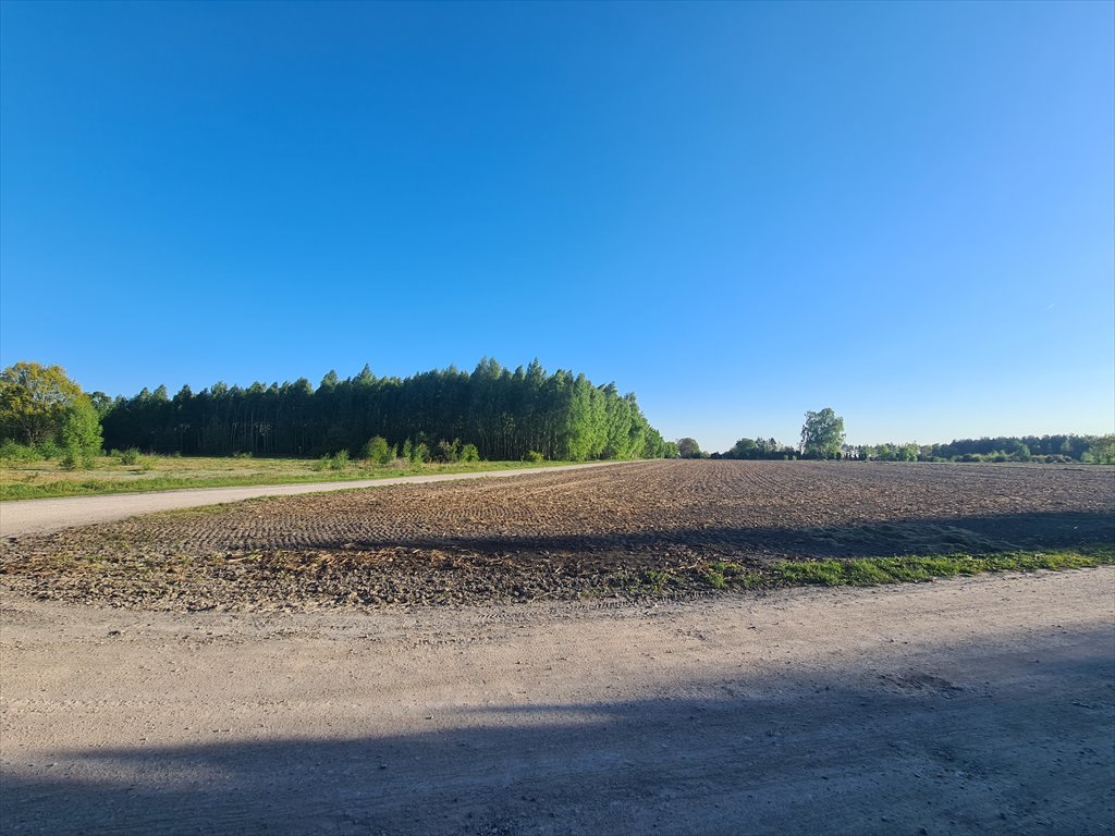 Działka budowlana na sprzedaż Sochaczew, Wypalenisko, Przylasek  3 820m2 Foto 7