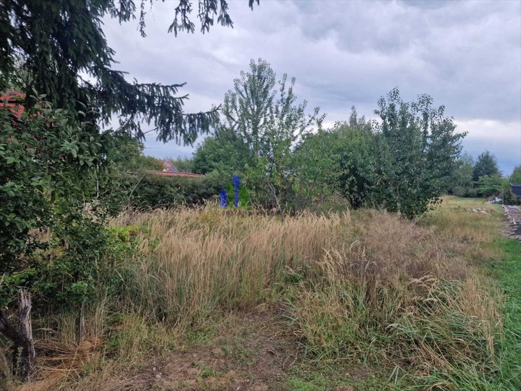 Zdjęcie 2