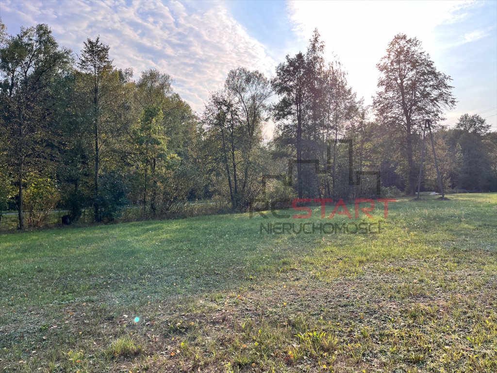 Działka budowlana na sprzedaż Piotrkowice  2 546m2 Foto 9