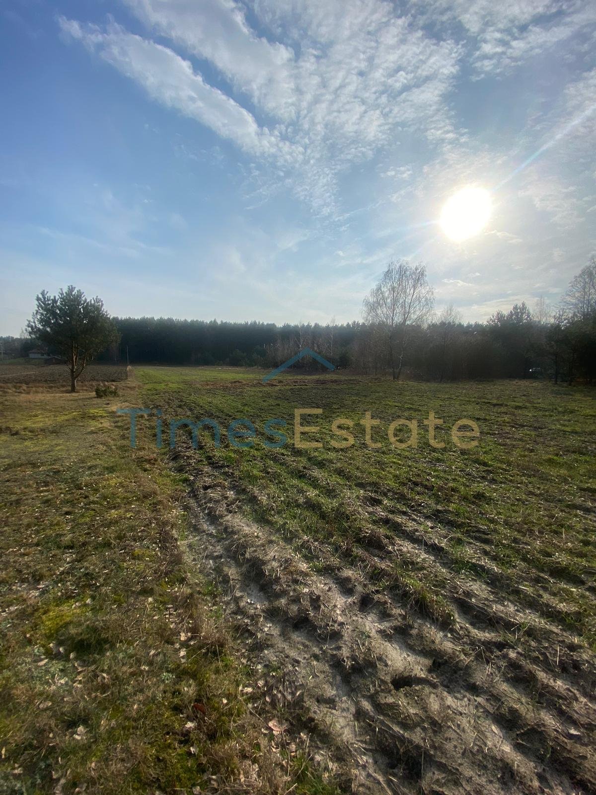 Działka budowlana na sprzedaż Ostrówek  5 700m2 Foto 3