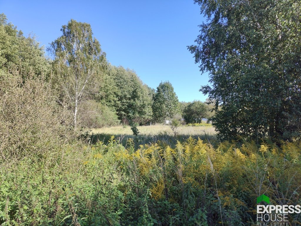 Działka 6700 m² z mediami, spokojna okolica, blisko Łodzi Placydów  6 889m2 Foto 1