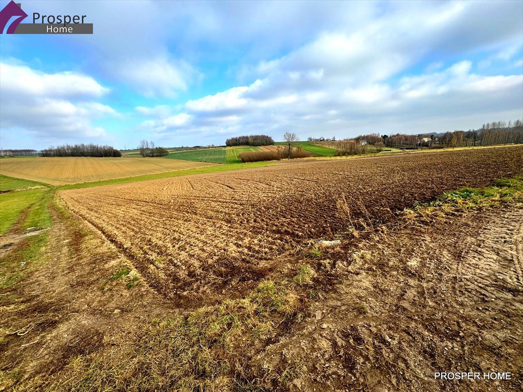 Działka rolna na sprzedaż Wola Zgłobieńska, Wola Zgłobieńska  4 400m2 Foto 7