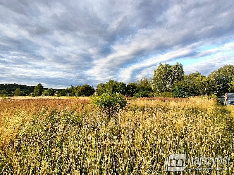 Działka rolna na sprzedaż Łupowo, Wieprzyce  2 352m2 Foto 4