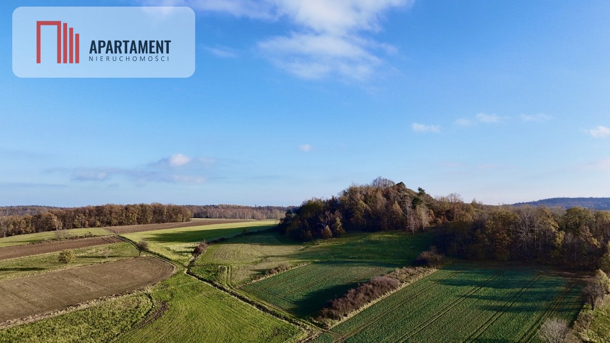 Działka gospodarstwo rolne na sprzedaż Pomocne  40 000m2 Foto 18