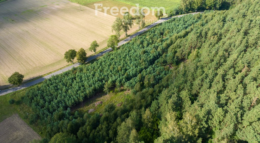 Działka siedliskowa na sprzedaż Szymany  8 174m2 Foto 7