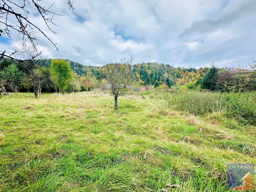 Działka budowlana na sprzedaż Kamienica  38m2 Foto 8