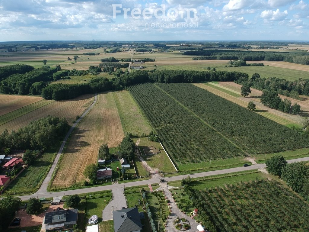 Działka inna na sprzedaż Filipinów  3 000m2 Foto 5