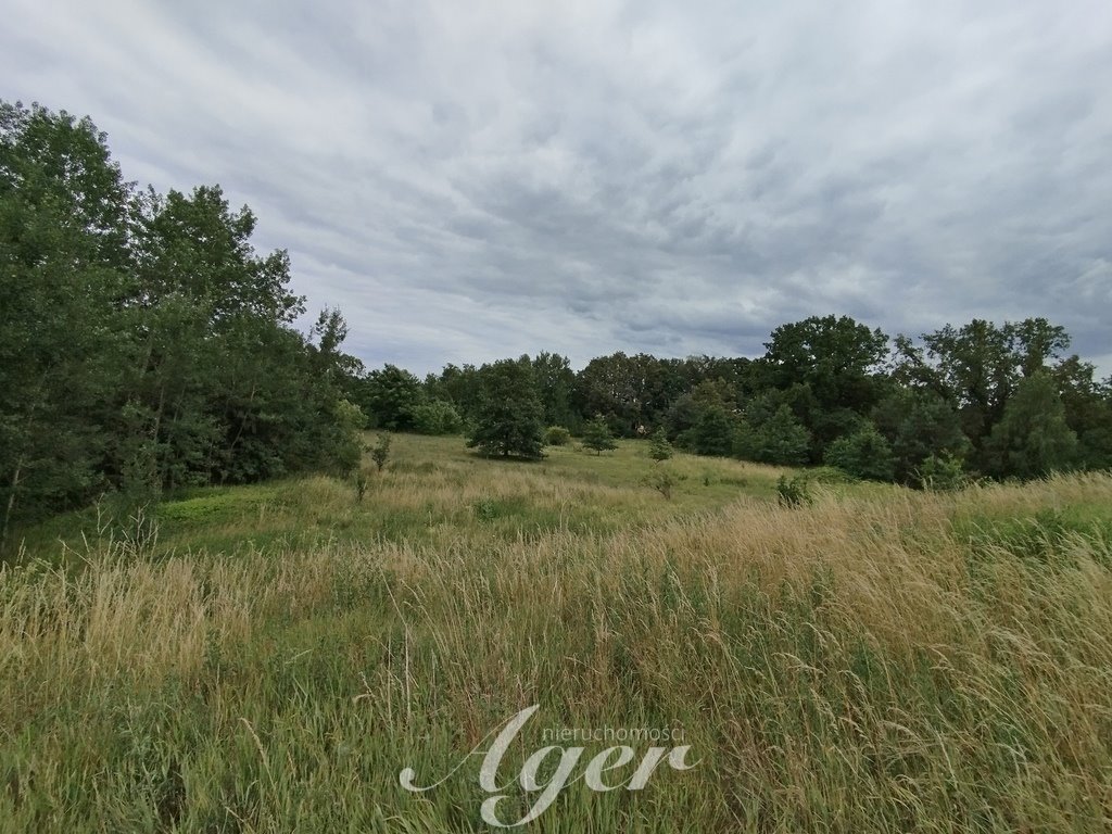 Działka rolna na sprzedaż Świdnica  8 600m2 Foto 7