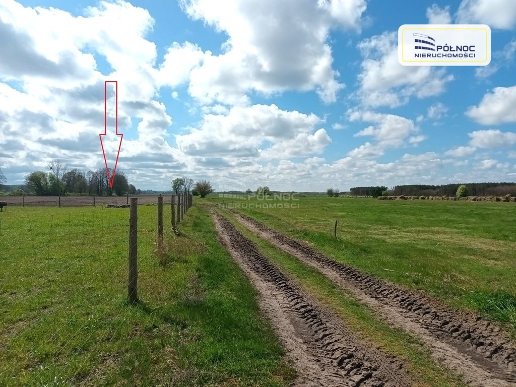 Działka siedliskowa na sprzedaż Człuchy  3 003m2 Foto 1