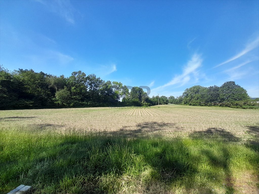 Działka komercyjna na sprzedaż Kąty Wrocławskie, Popiełuszki Jerzego ks.  4 000m2 Foto 4