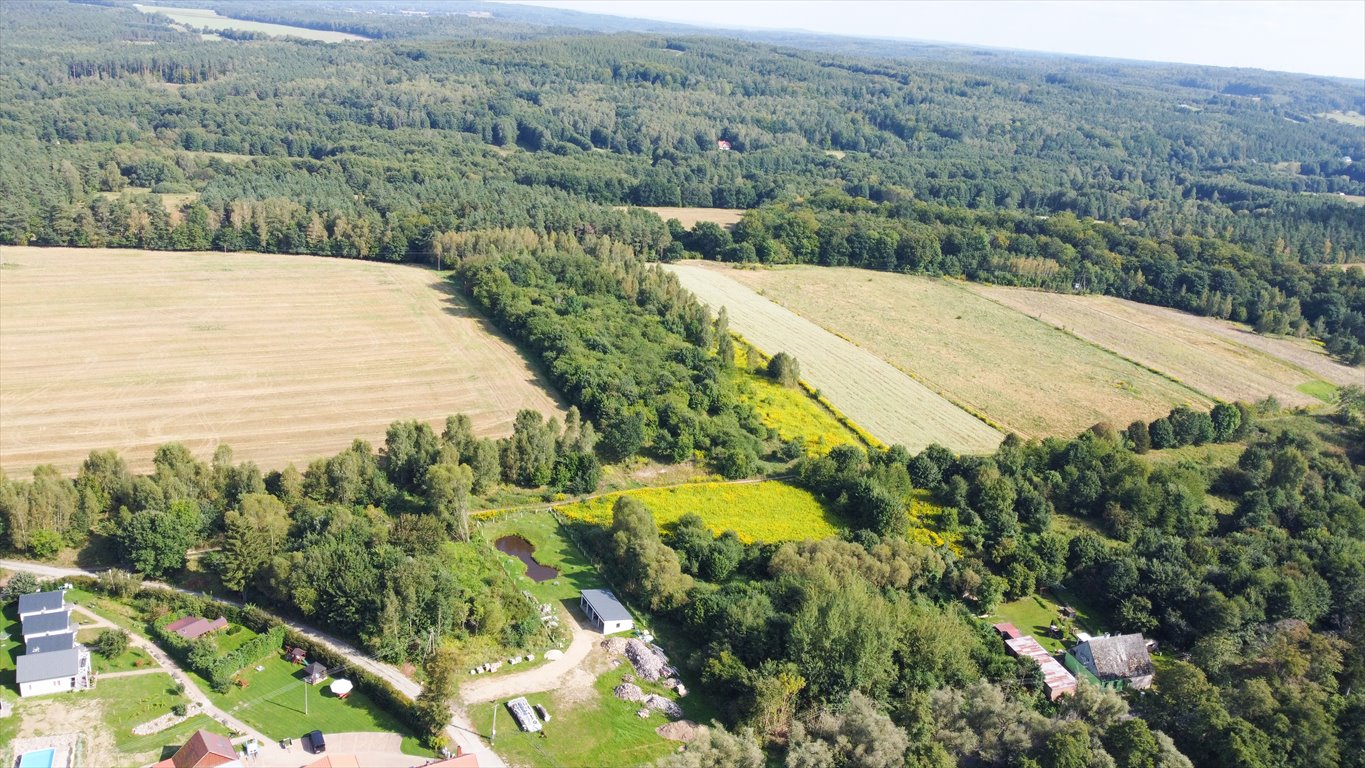 Działka rolna na sprzedaż Krąg  2 936m2 Foto 10