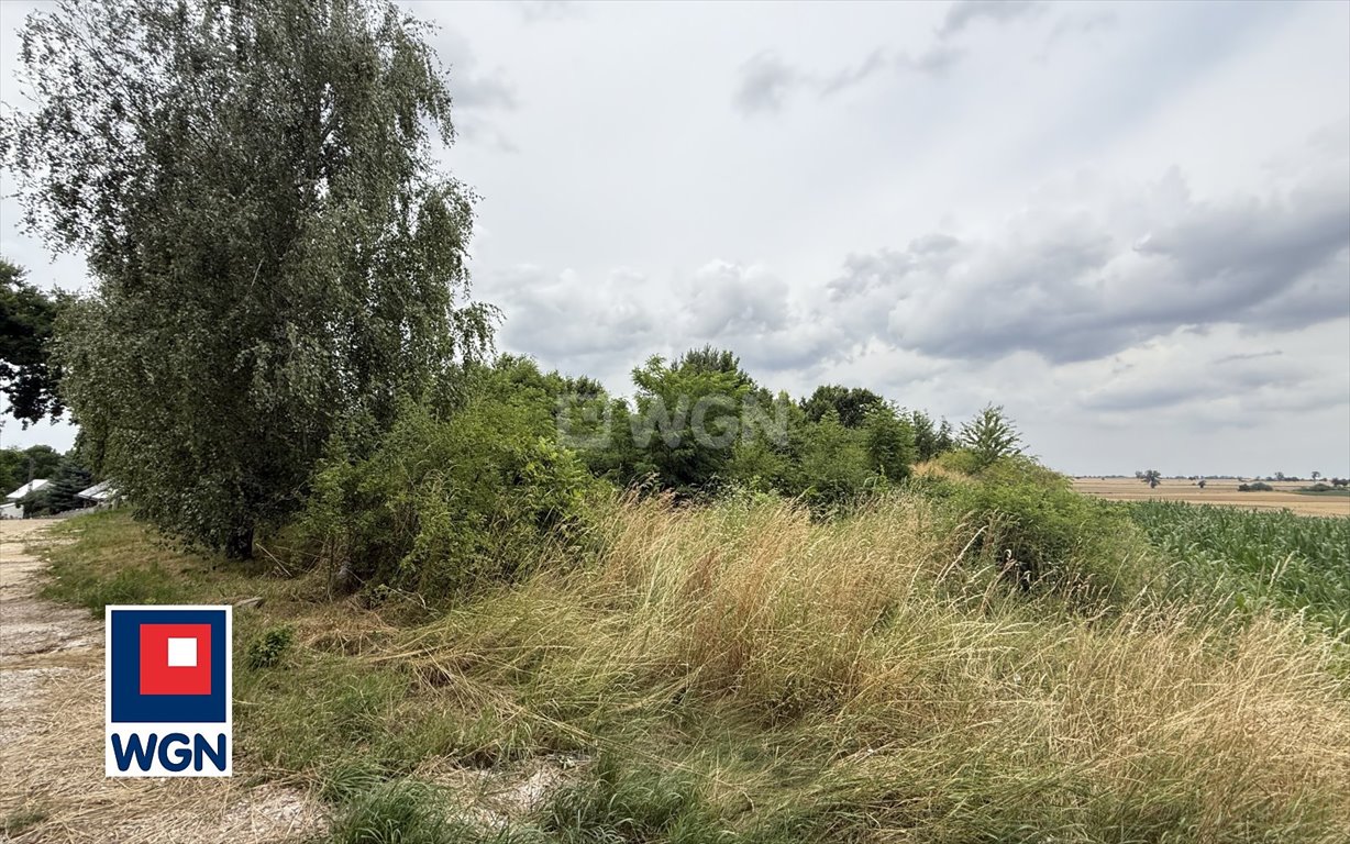 Działka 3950 m2 z widokiem na Ślężę i sadem gratis Paździorno, Paździorno, Paździorno  3 950m2 Foto 1