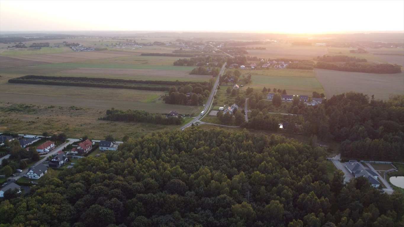 Działka leśna z prawem budowy na sprzedaż Głobino, Przy Lesie  6 200m2 Foto 6