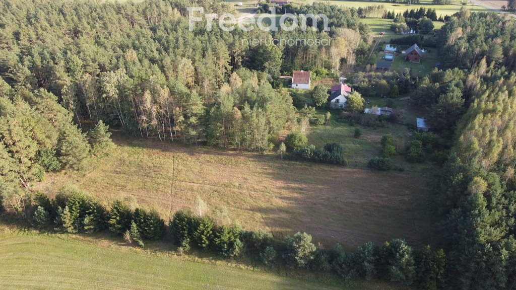 Działka budowlana na sprzedaż Głuch  5 951m2 Foto 1