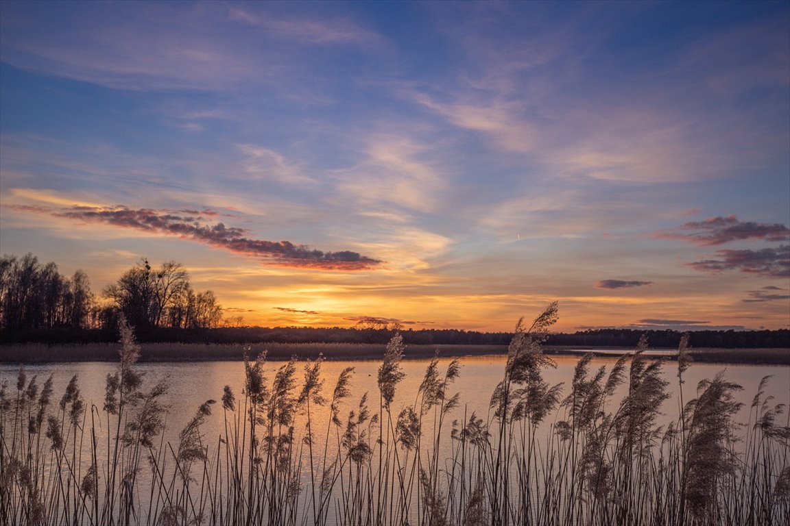 Działka budowlana na sprzedaż Nowe Rumunki, Nowe Rumunki 12  2 400m2 Foto 5